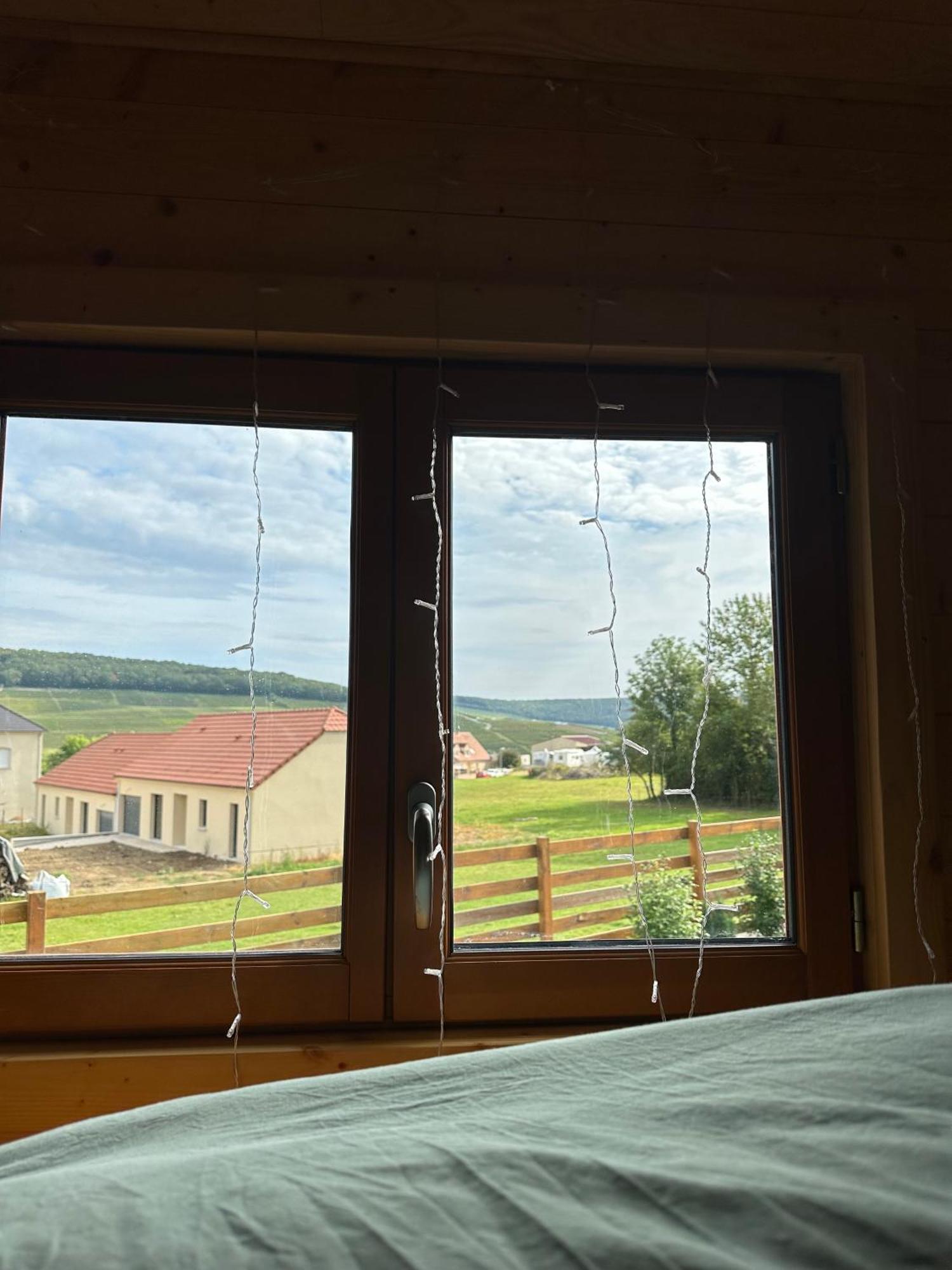 Вілла Chez Celia, Roulotte En Champagne Fleury-la-Riviere Екстер'єр фото