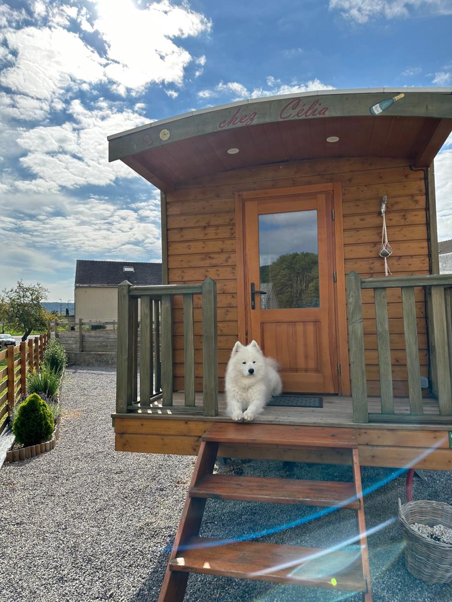 Вілла Chez Celia, Roulotte En Champagne Fleury-la-Riviere Екстер'єр фото